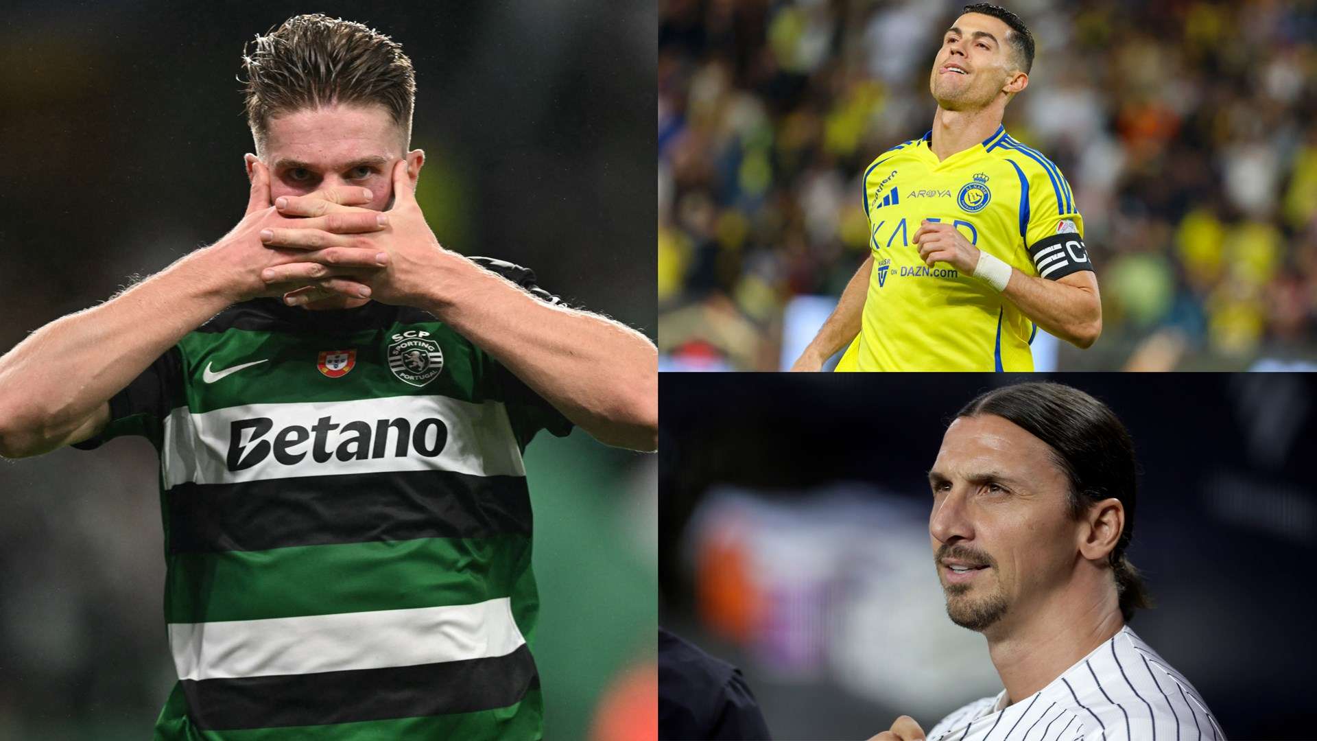 他的看好 他的看好